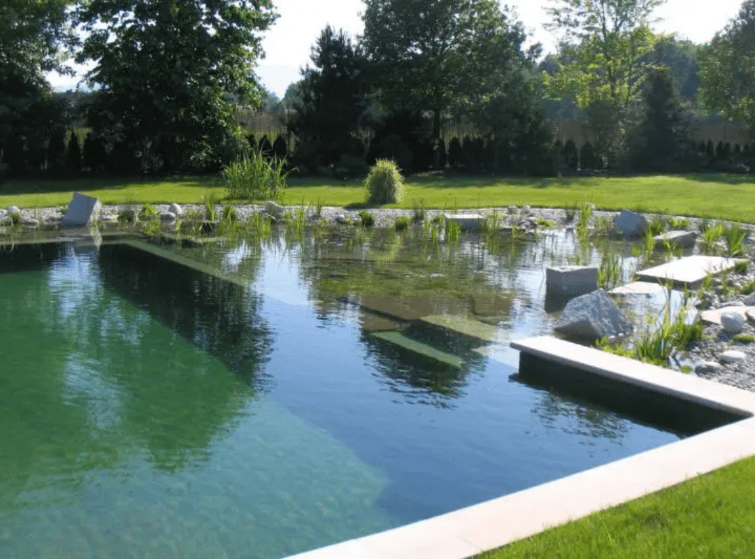 Piscine naturelle ou biologique : les avantages